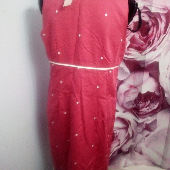 Ann Taylor Dress NWTS - Picture 5 of 6